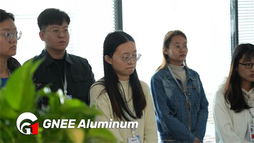 Aluminum Foil 8079 Laminate